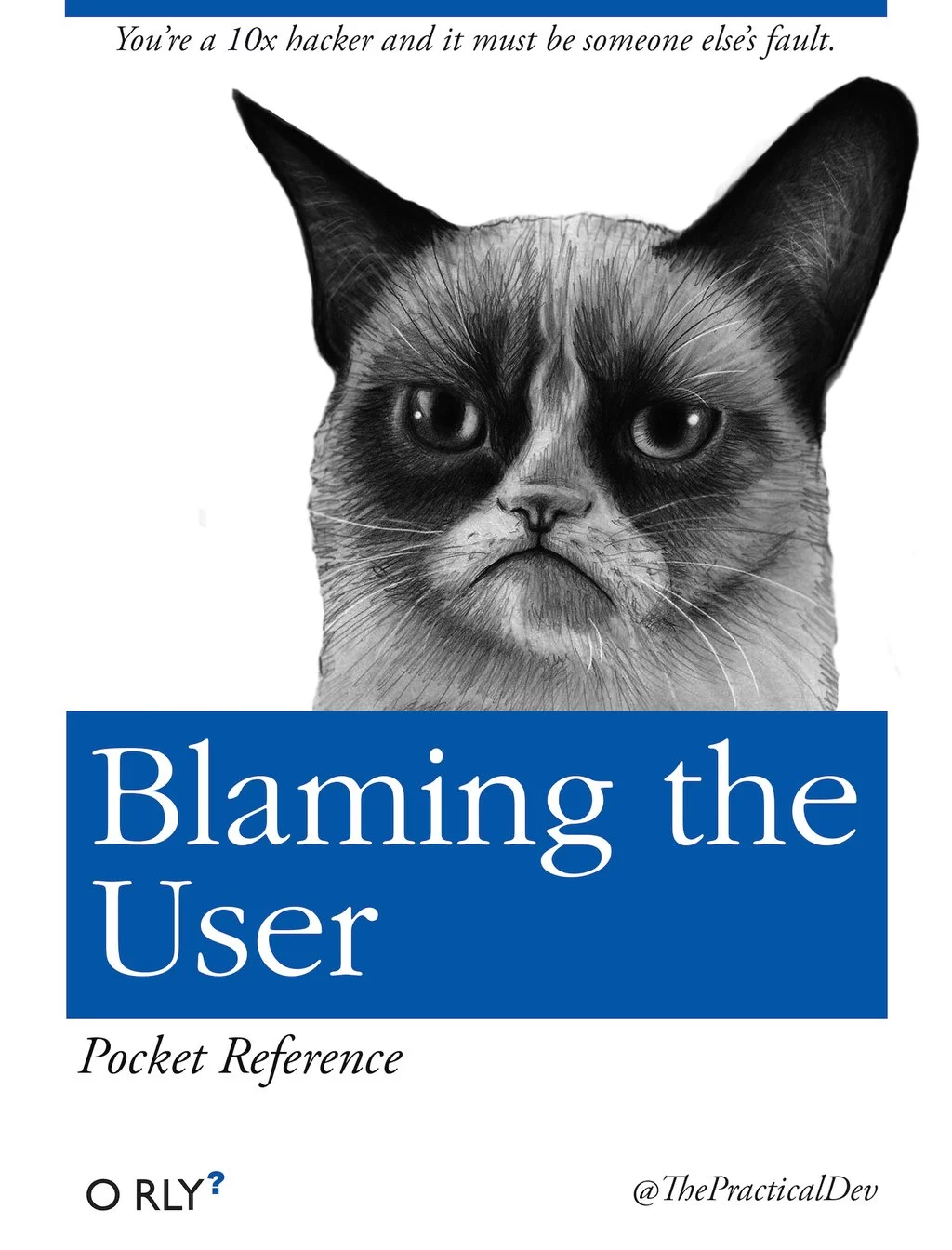 Blaming the User | You're a 10x hacker and it must be someone else's fault.