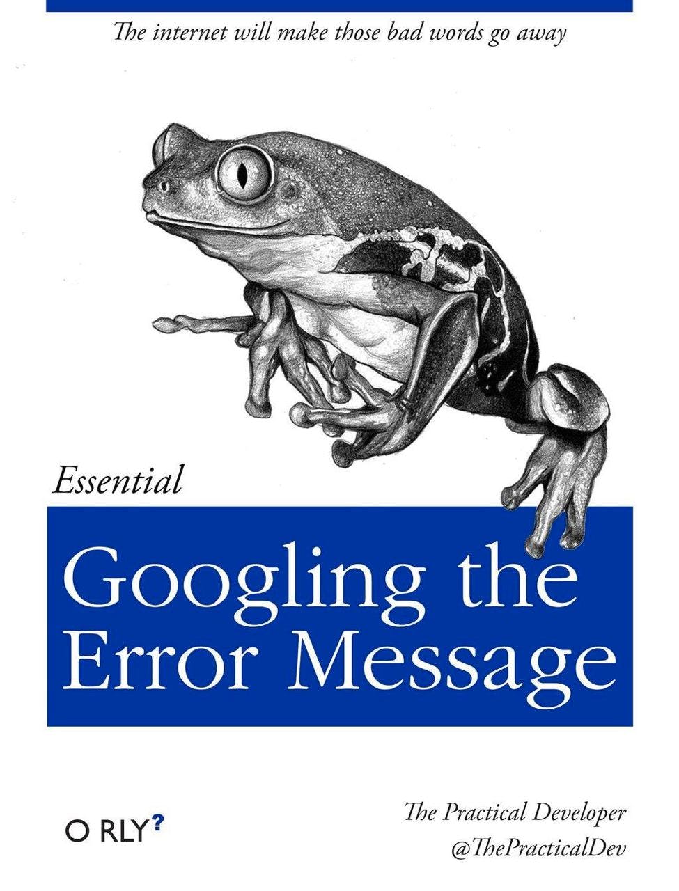 Googling the Error Message | The internet will make those bad words go away