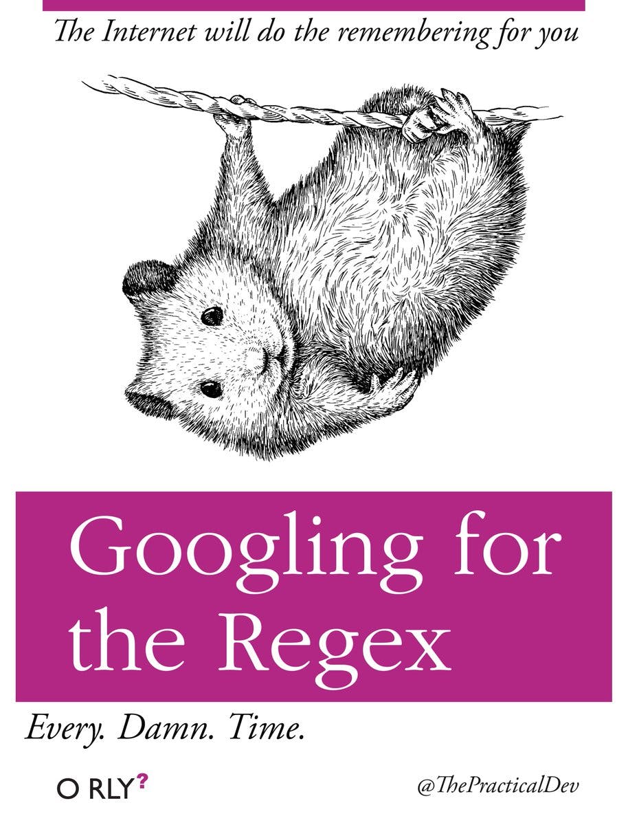 Googling for the Regex | The Internet will do the remembering for you