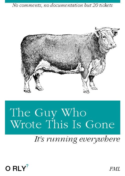 The Guy Who Wrote This Is Gone | No comments, no documentation but 20 tickets