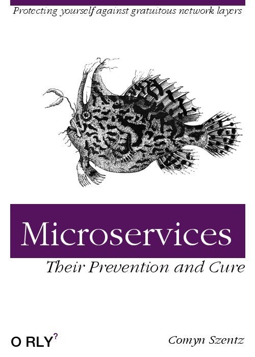 Microservices | Protecting yourself against gratuitous network layers | Their Prevention and Cure