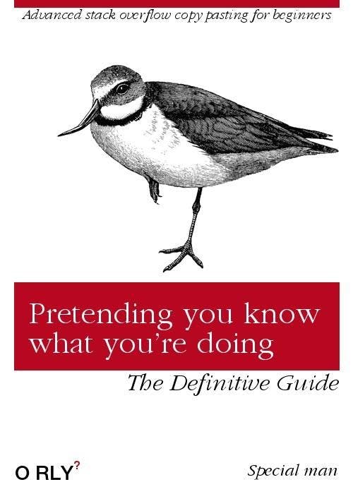 Pretending you know what you're doing | Advanced stack overflow copy pasting for beginners