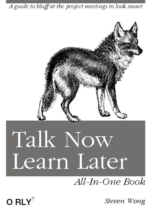 Talk Now Learn Later | A guide to bluff at the project meetings to look smart | All-in-one book