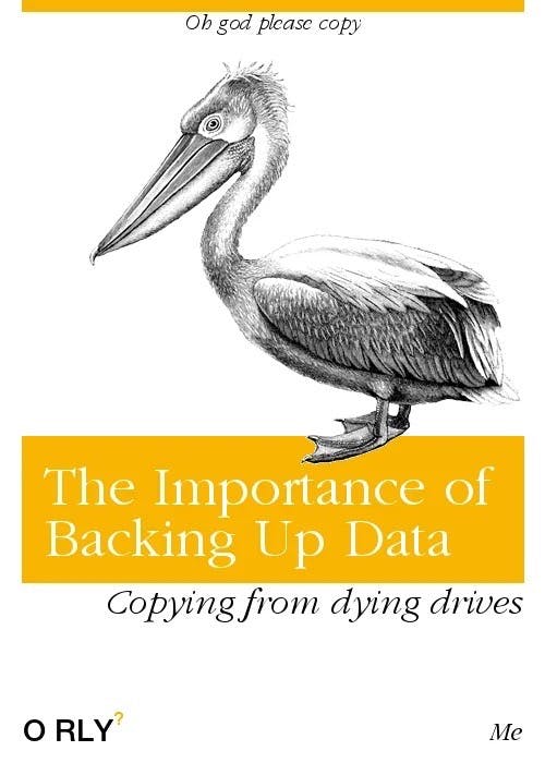 The Importance of Backing Up Data | Oh god please copy | Copying from dying drives