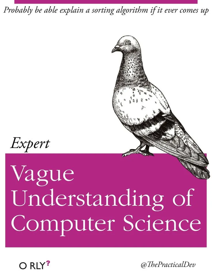 Vague Understanding Of Computer Science | Probably be able explain a sorting algorithm if it ever comes up