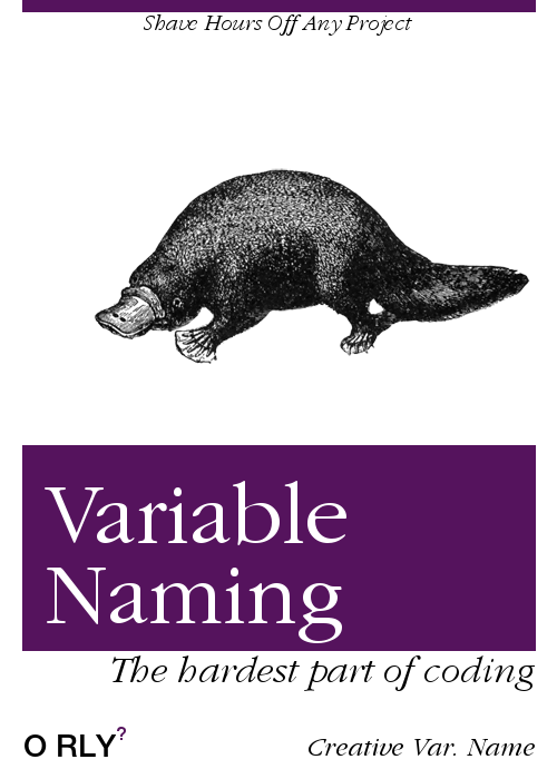 Variable Naming | The hardest part of coding | Shave Hours Off Any Project