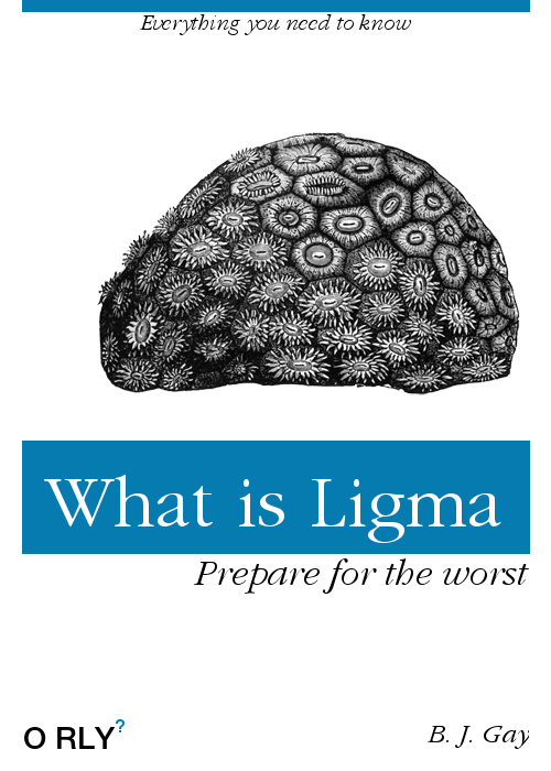 What is Ligma | Prepare for the worst
